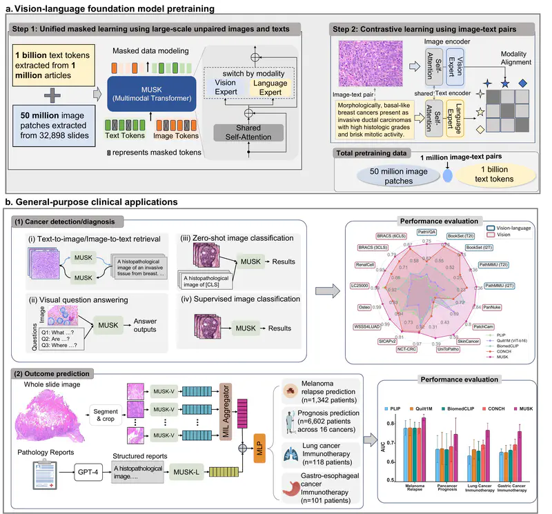 A Vision–language Foundation Model for Precision Oncology