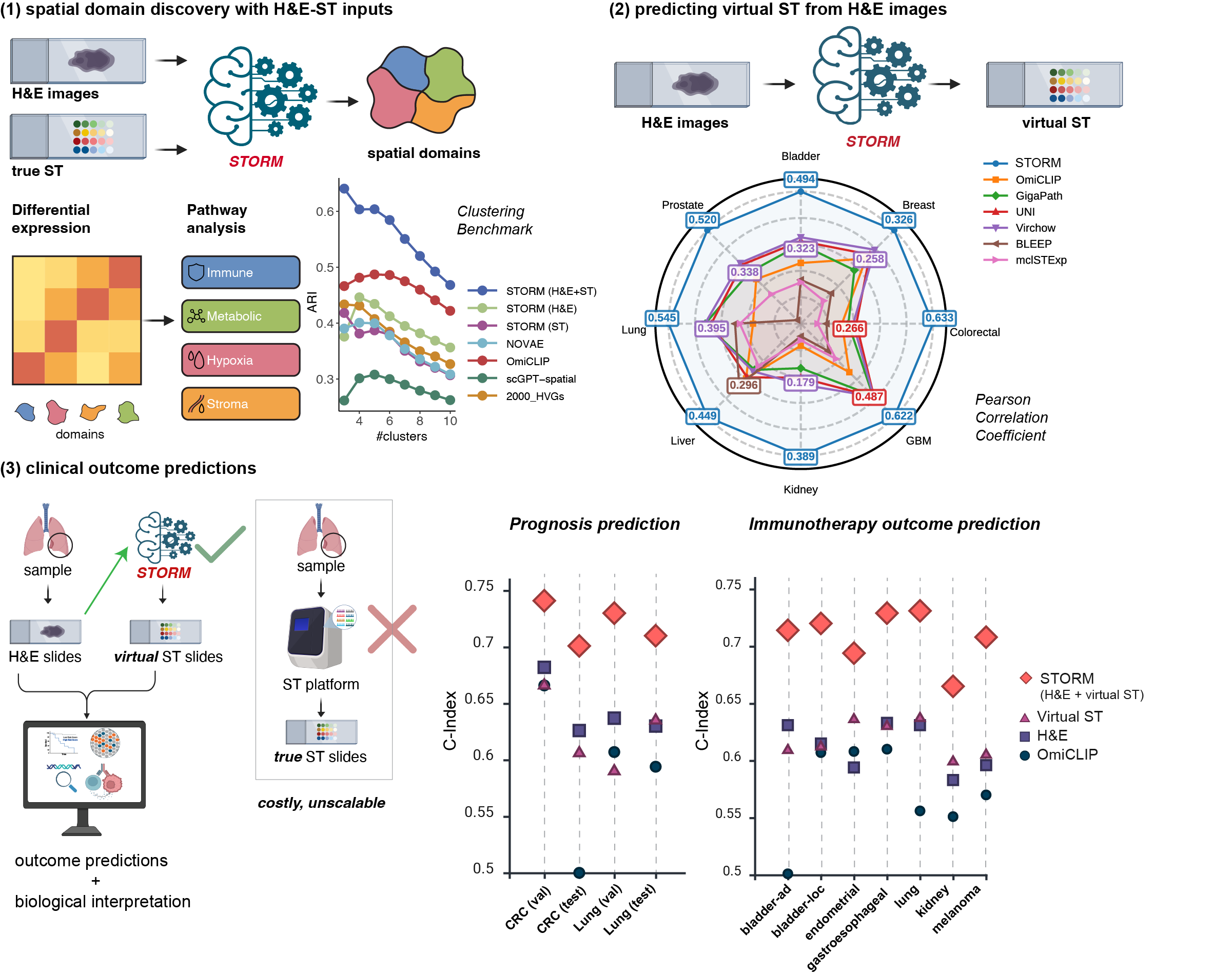 A Multimodal Foundation Model of Spatial Transcriptomics and Histology ...